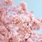 aj-McsNra2VRQQ-unsplash